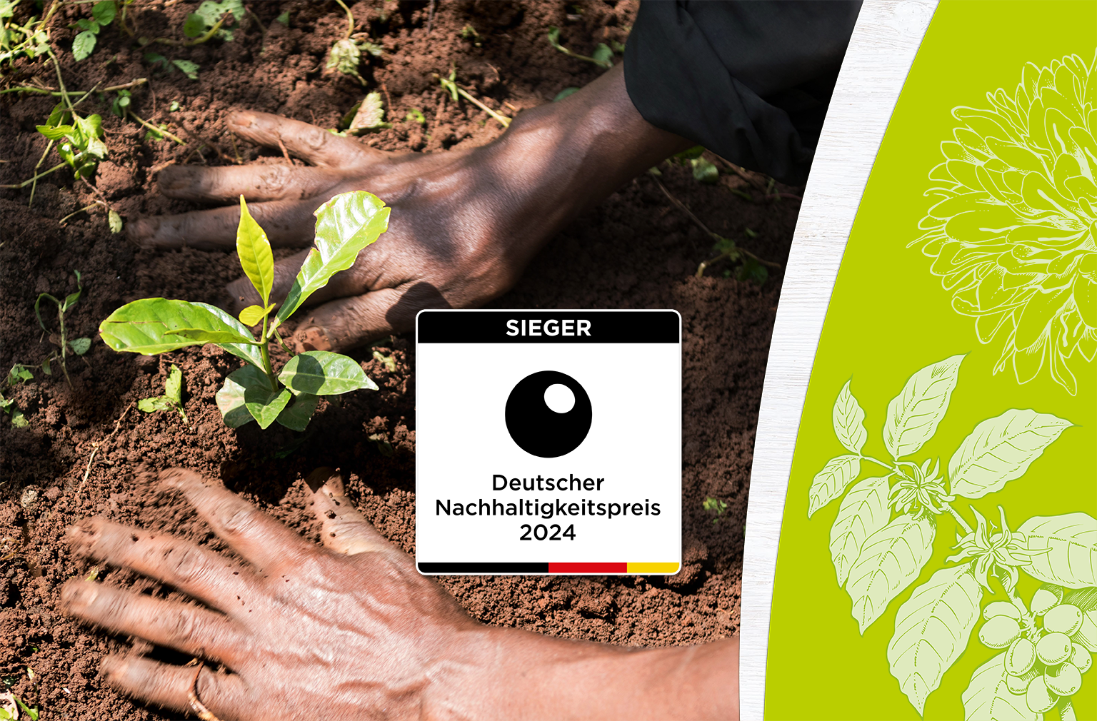 Hände pflanzen einen kleinen Setzling in die Erde; daneben Logo des Deutschen Nachhaltigkeitspreises 2024