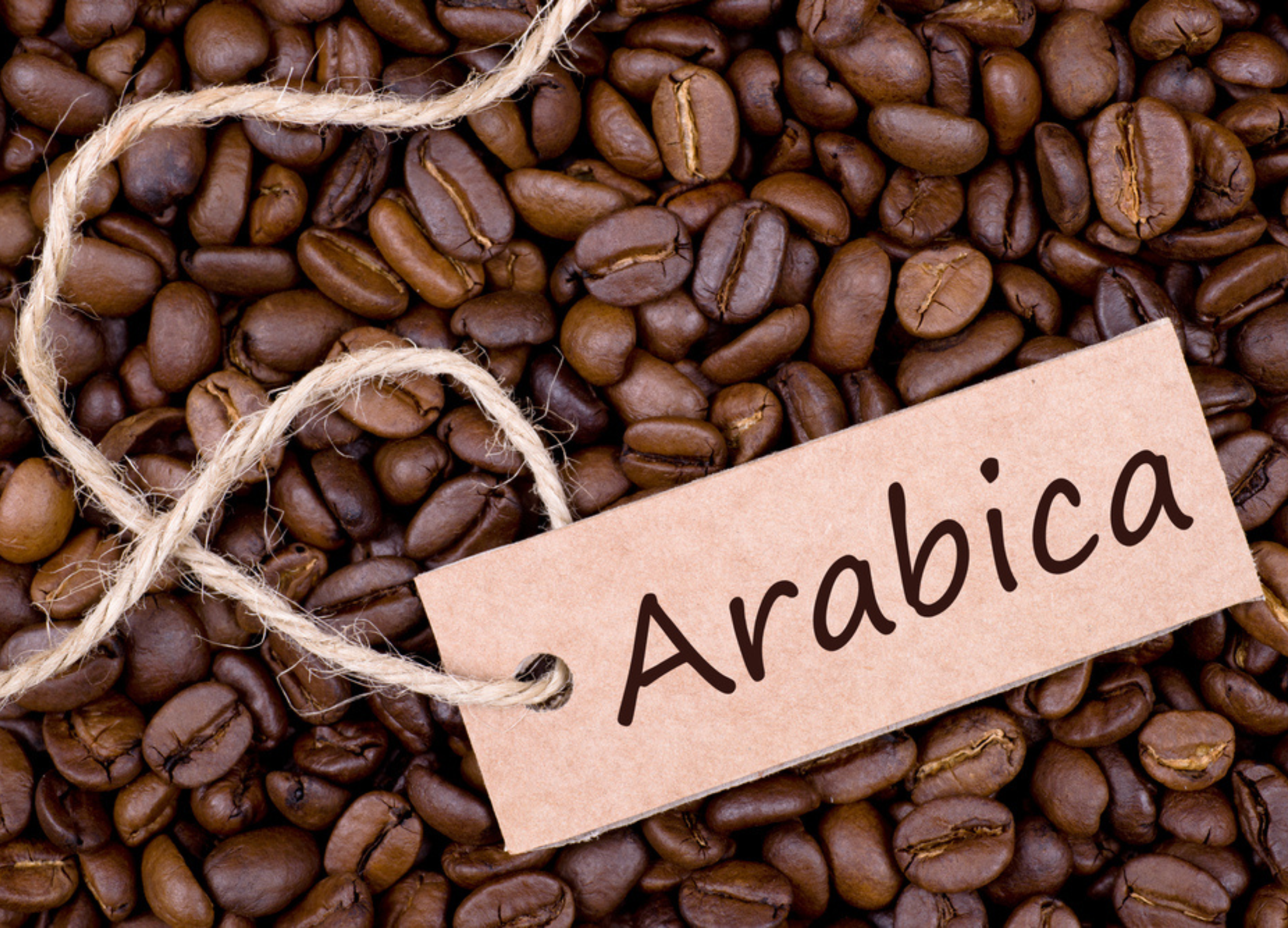 Arabica-Kaffee Braune, glänzende Arabica-Kaffeebohnen mit einem braunen Etikett, auf dem „Arabica“ steht, liegen dicht an dicht