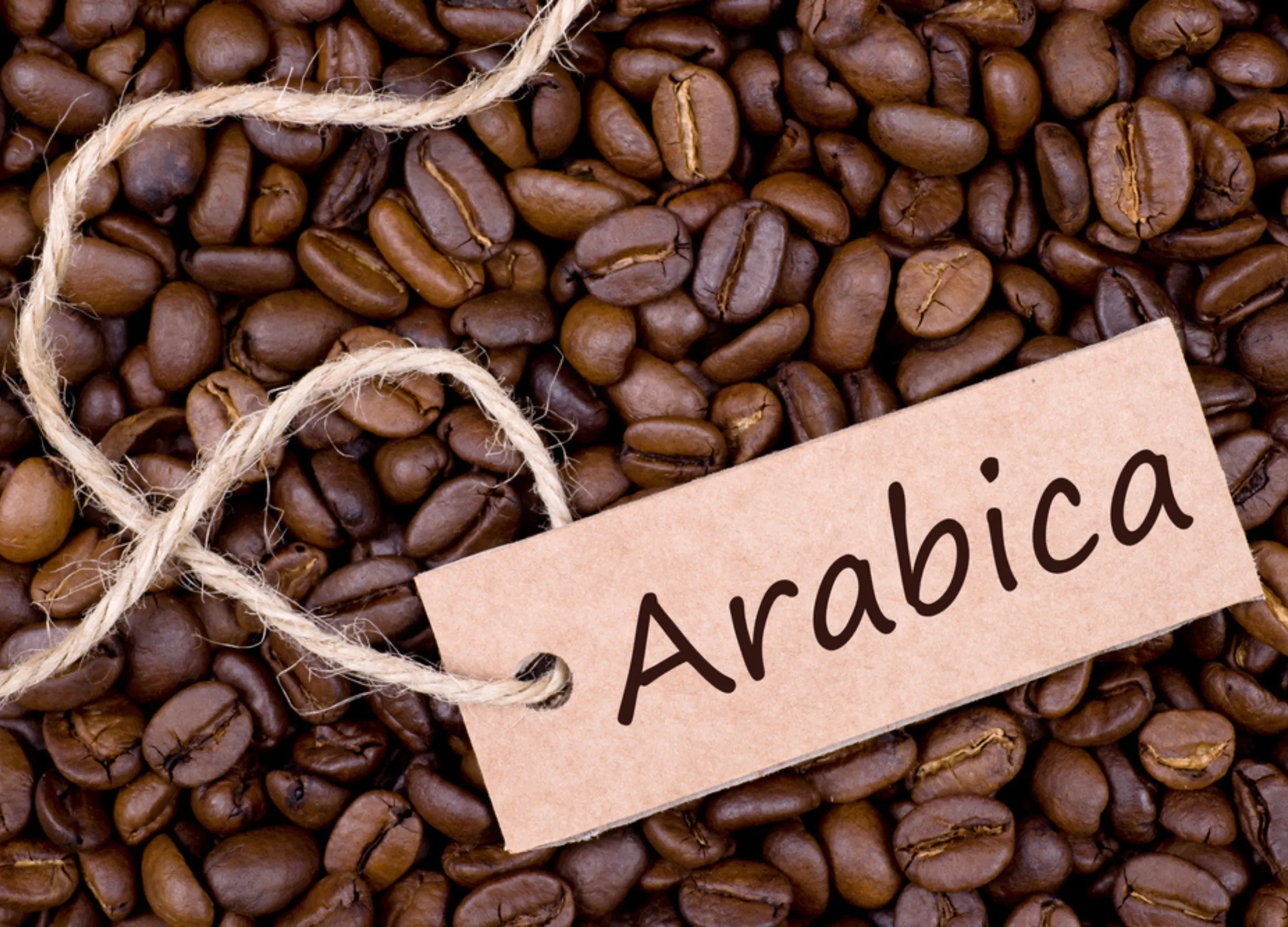 Braune, glänzende Arabica-Kaffeebohnen mit einem braunen Etikett, auf dem „Arabica“ steht, liegen dicht an dicht