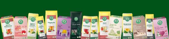 Promotionsbanner mit fünf Gewürzpackungen auf grünem Hintergrund