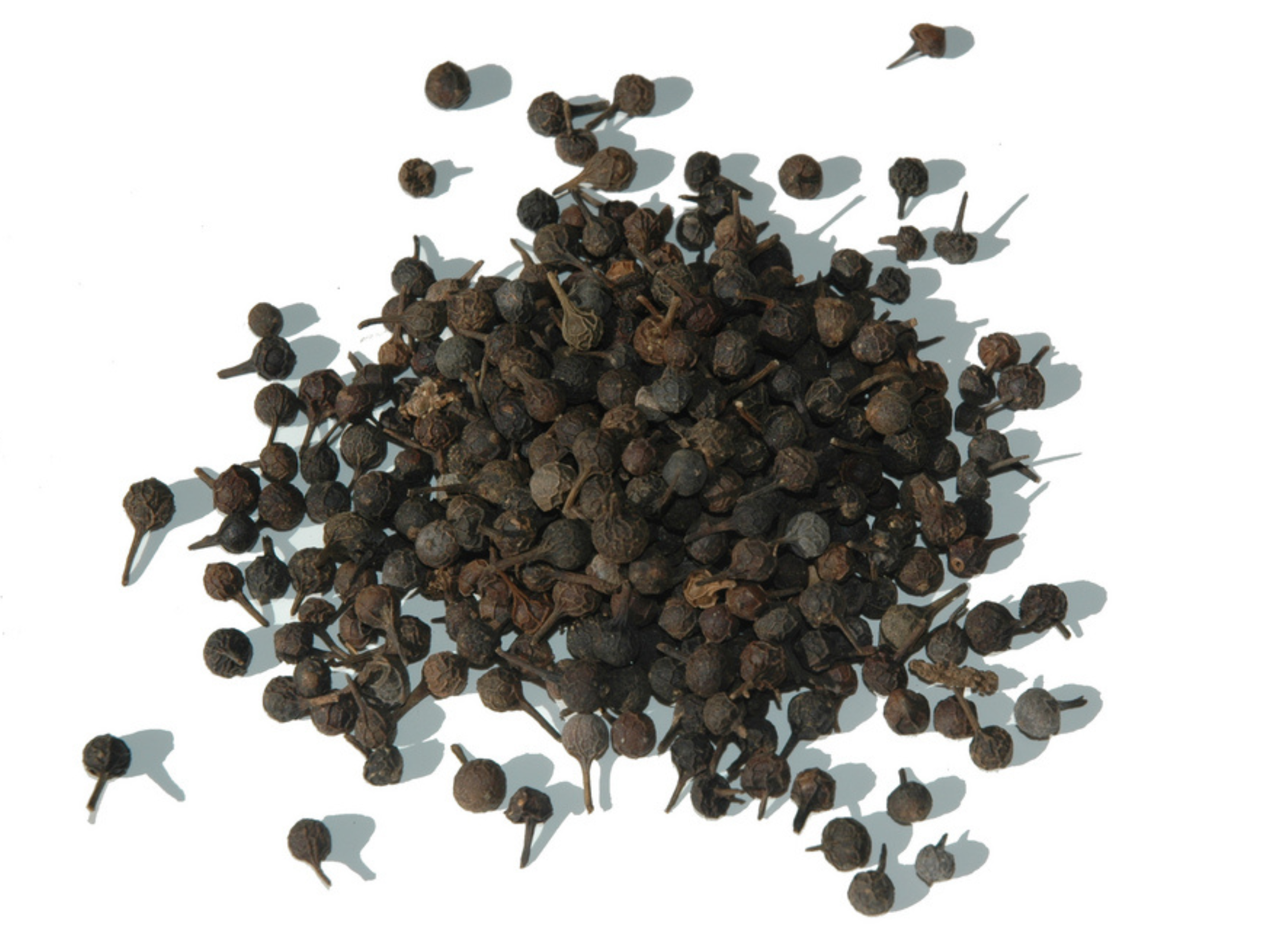 Kubebenpfeffer Kleine, schwarze Pfefferkörner mit kurzen Stielen liegen locker auf einer weißen Fläche