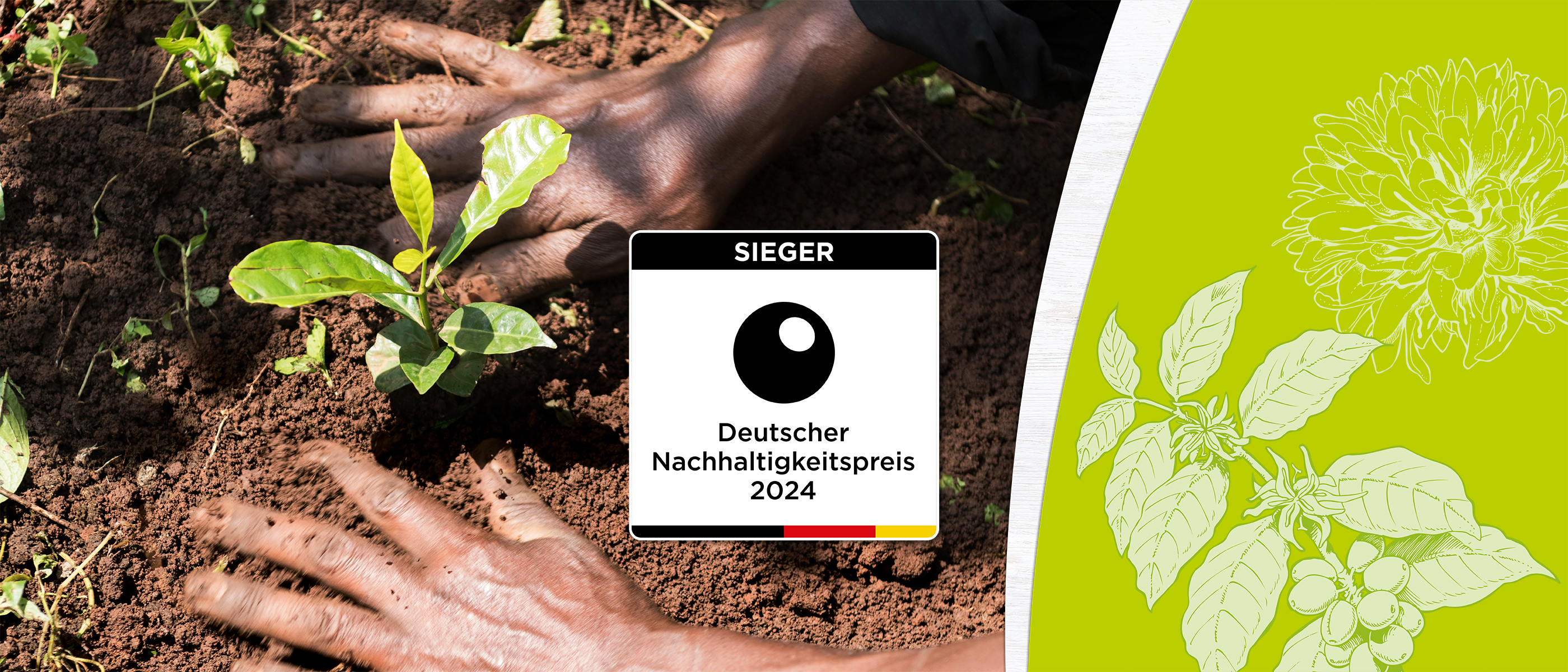 Hände pflanzen einen kleinen Setzling in die Erde; daneben Logo des Deutschen Nachhaltigkeitspreises 2024