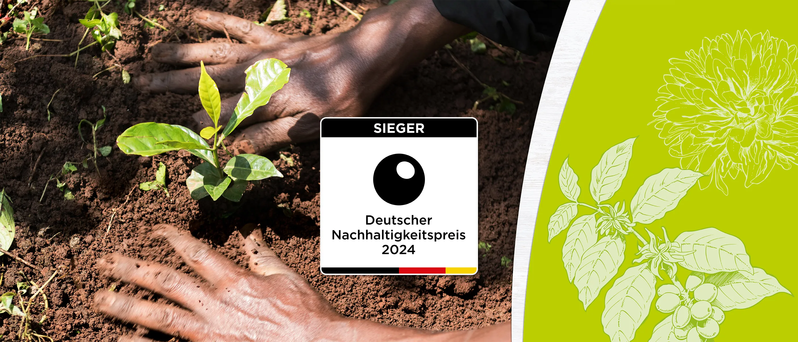 Hände pflanzen einen kleinen Setzling in die Erde; daneben Logo des Deutschen Nachhaltigkeitspreises 2024