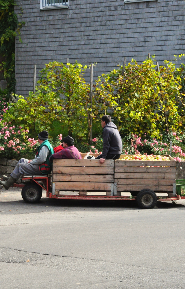 Drei Personen sitzen auf einem mit Äpfeln beladenen Anhänger vor einem Haus in Lindau