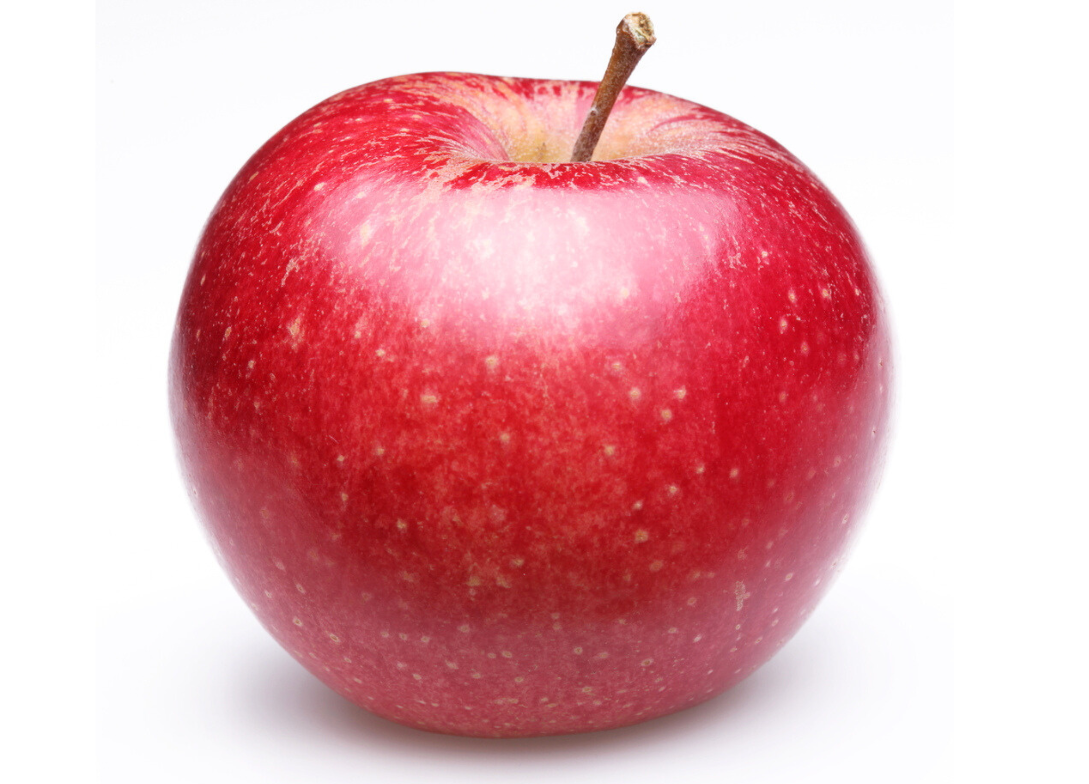 Apfel Ein leuchtend roter Apfel steht vor weißem Hintergrund