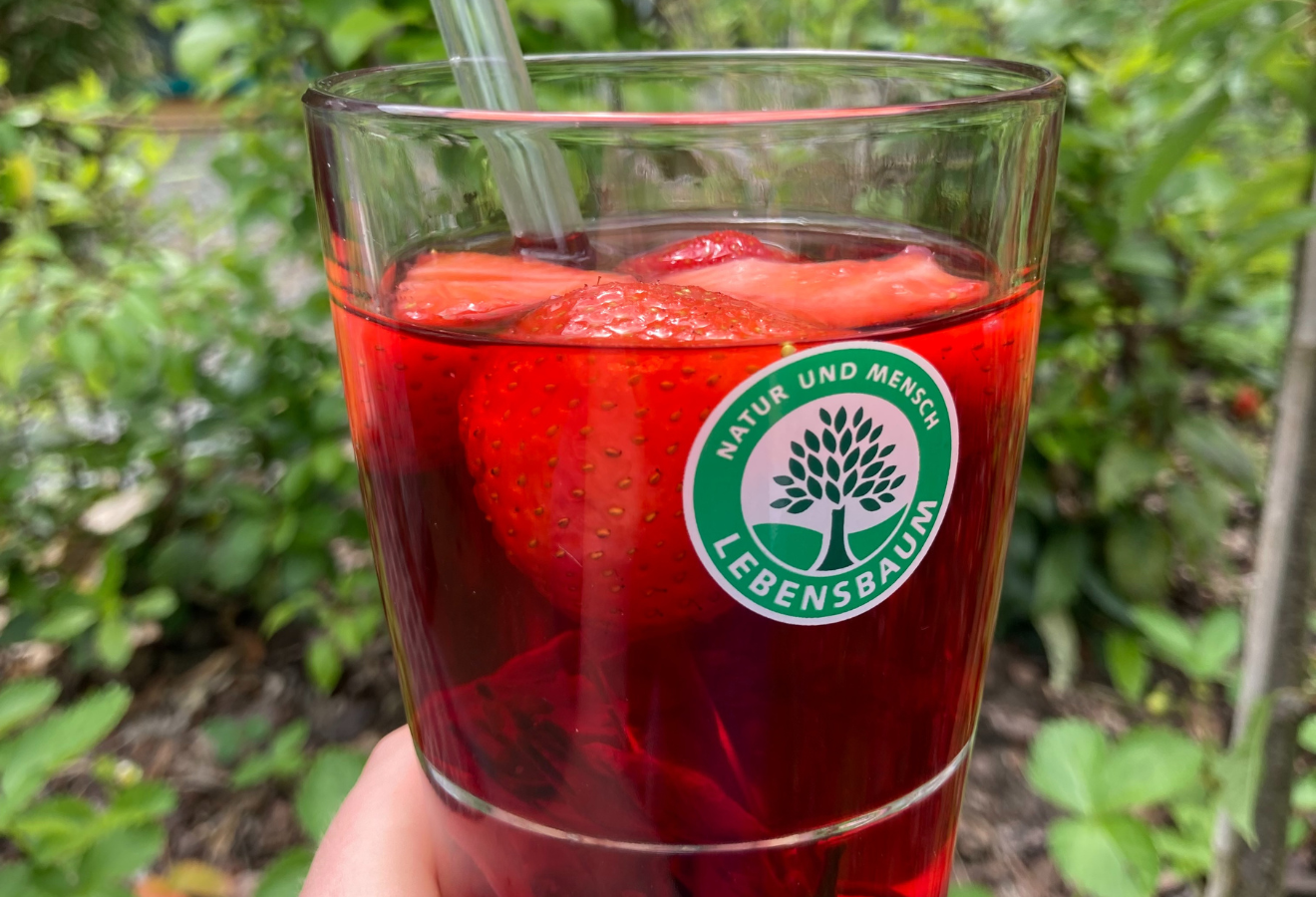 Hibiskus-Erdbeer-Eistee in einem Glas mit Erdbeeren darin