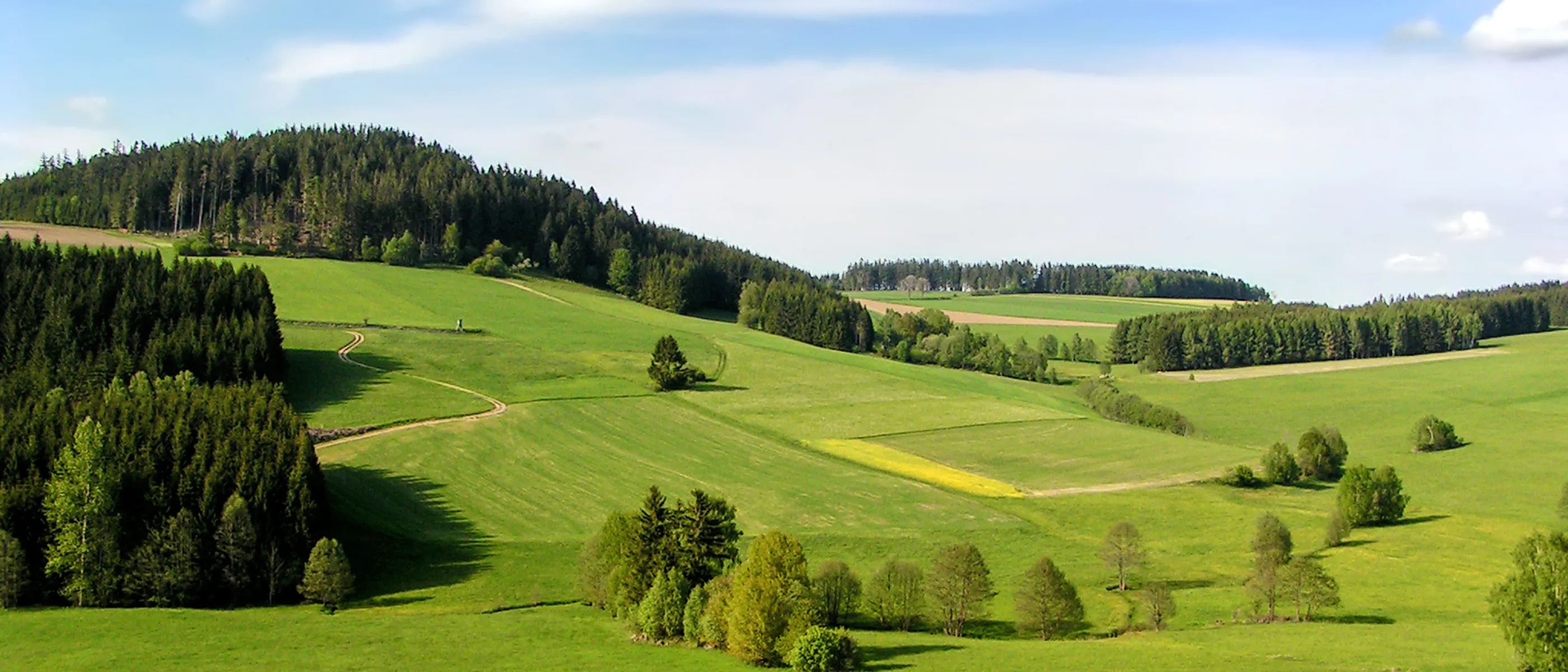 Grüne Felder in Mühlviertel in Österreich