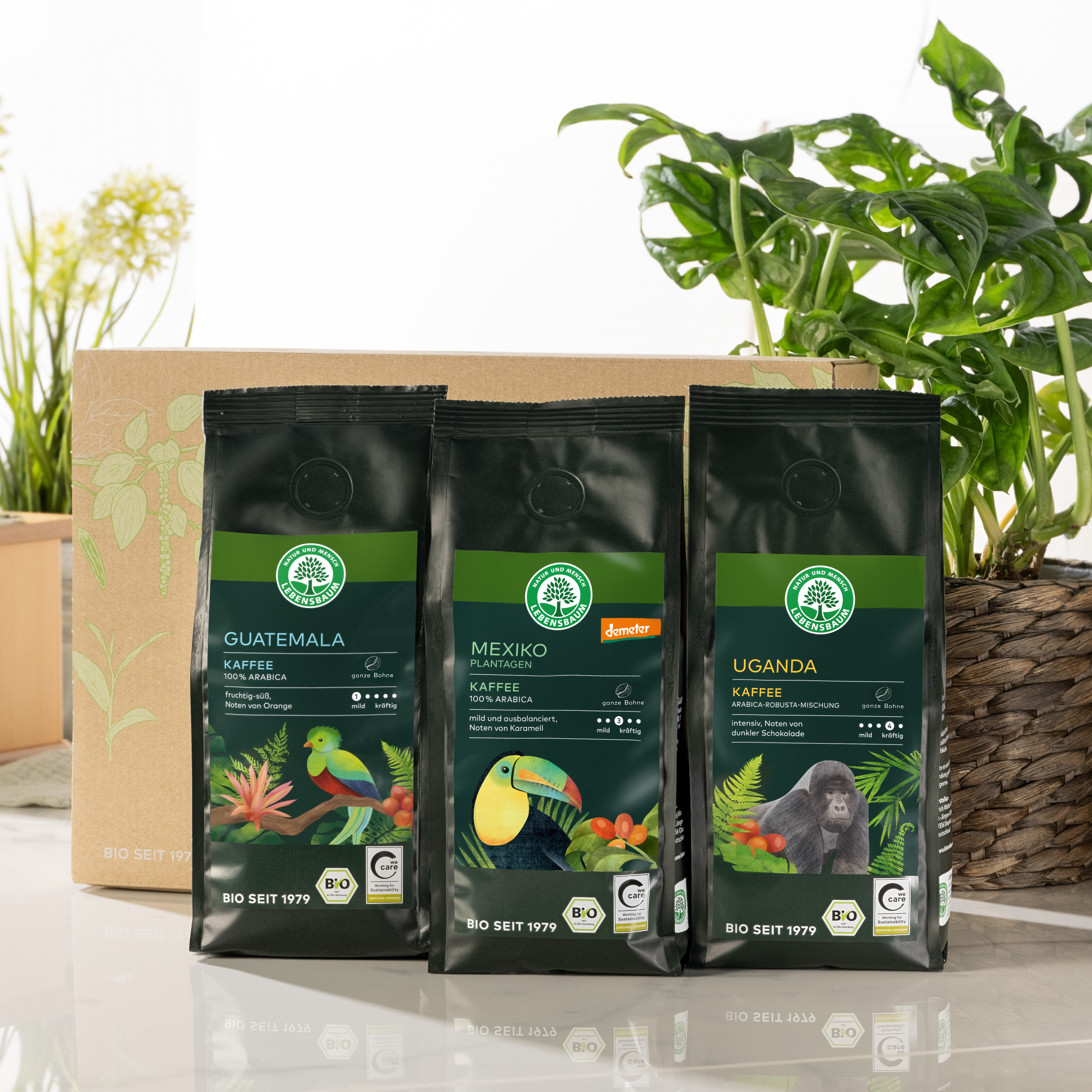 Herkunftskaffees ganze Bohne im Geschenkkarton