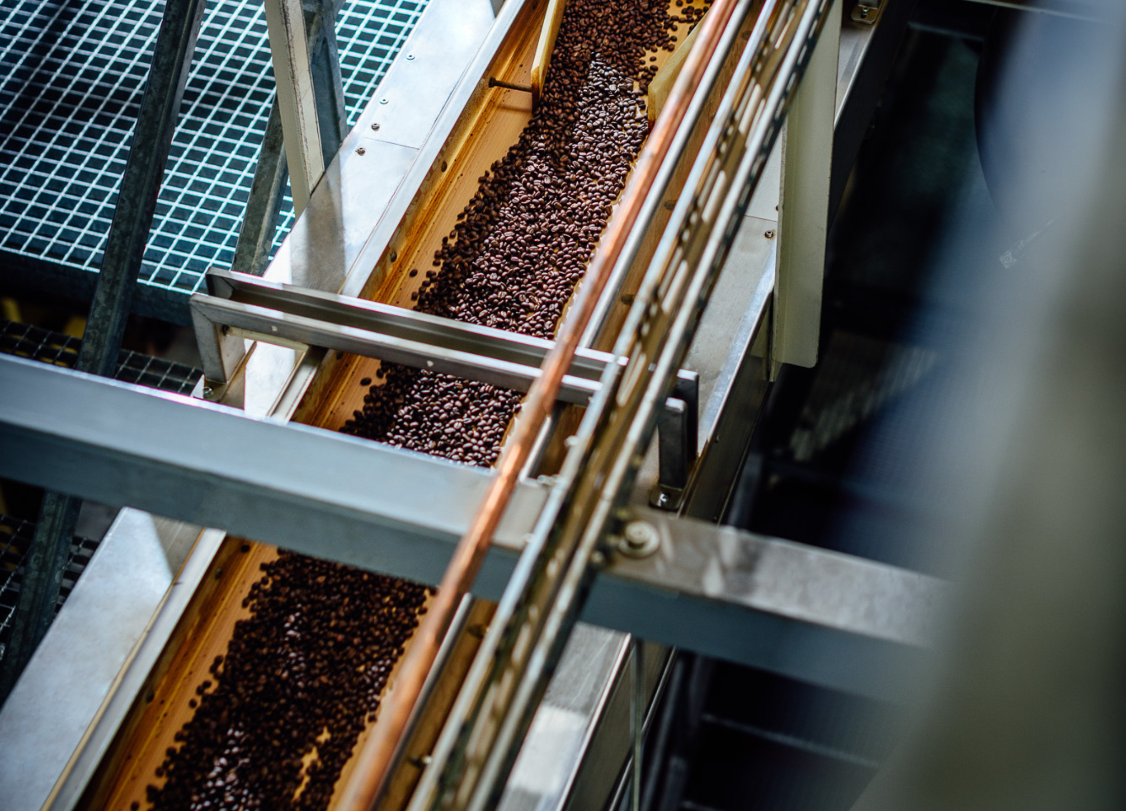Kaffeebohnen auf einem Fließband in einer Produktionsanlage in unserer Kaffeerösterei in Gronau