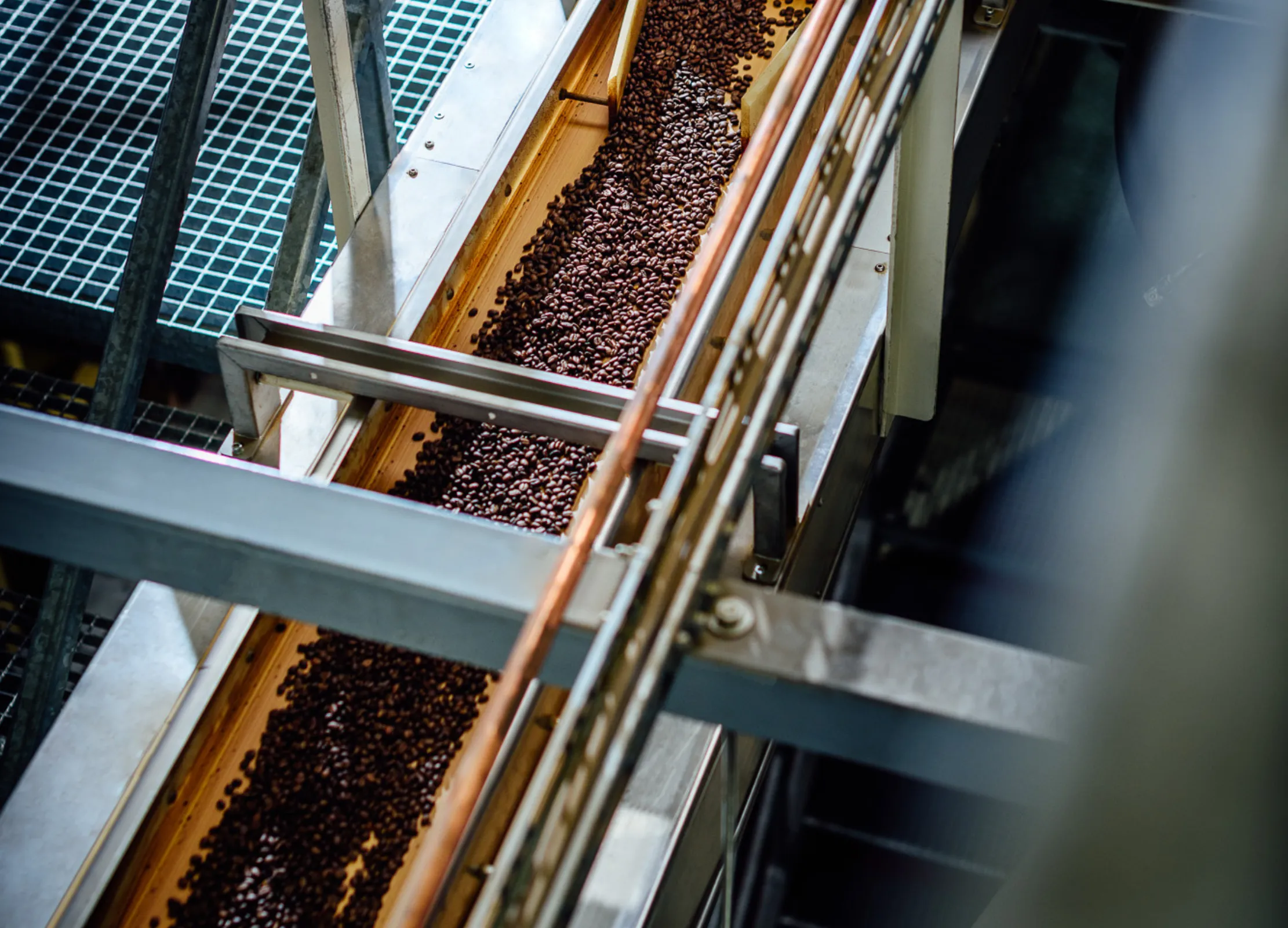 Kaffeebohnen auf einem Fließband in einer Produktionsanlage in unserer Kaffeerösterei in Gronau