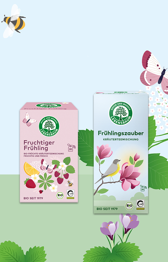 Zwei Packungen Frühlingstee vor einer bunten Frühlingswiese mit Illustrationen von Blumen, Vögeln und Insekten