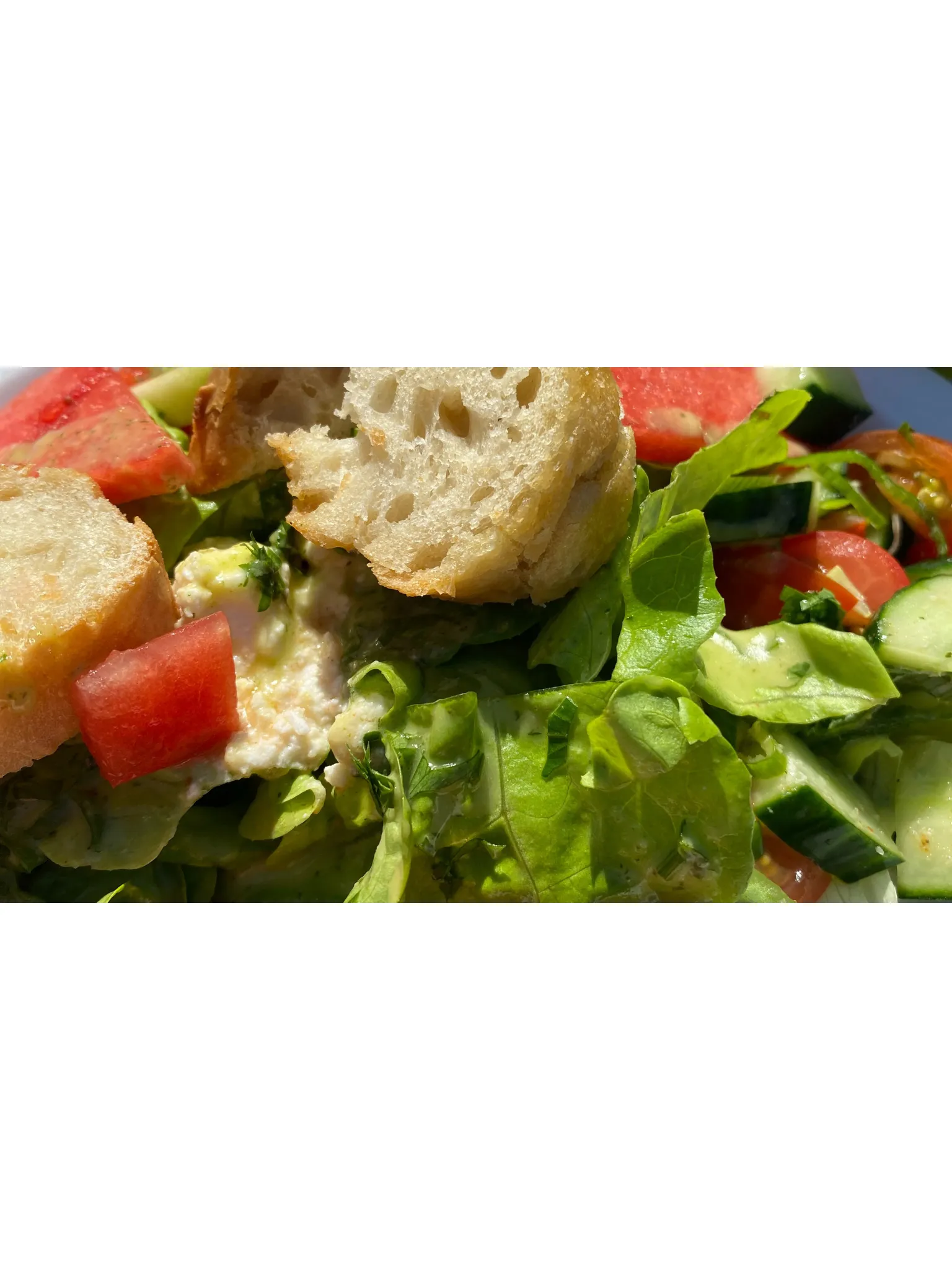 Frisches Sandwich mit Vollkornbrot, grünem Salat, roten Tomaten und Gurke