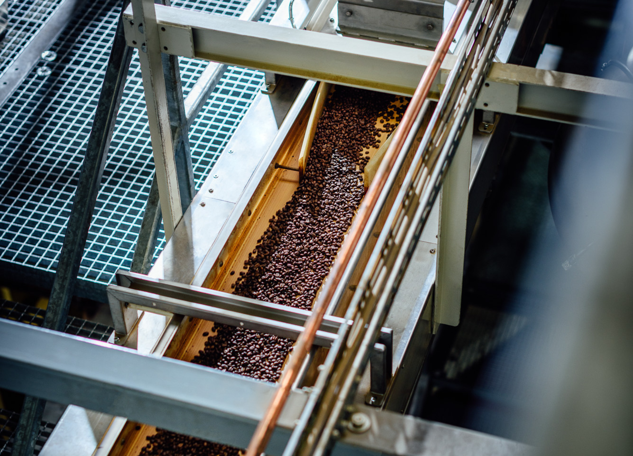 Kaffeebohnen auf einem Fließband einer Produktionsanlage in Gronau