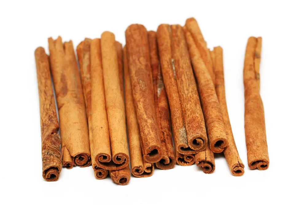 Zimtstangen Cassia, gerollte braune Stäbchen mit natürlicher Textur, Gewürz für Küche und Getränke