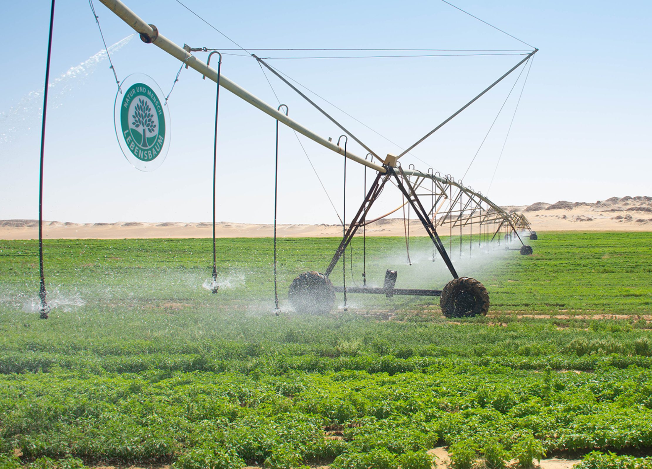 Feldbewässerung mit einem großen, rotierenden Sprinklersystem in einer Wüstenlandschaft