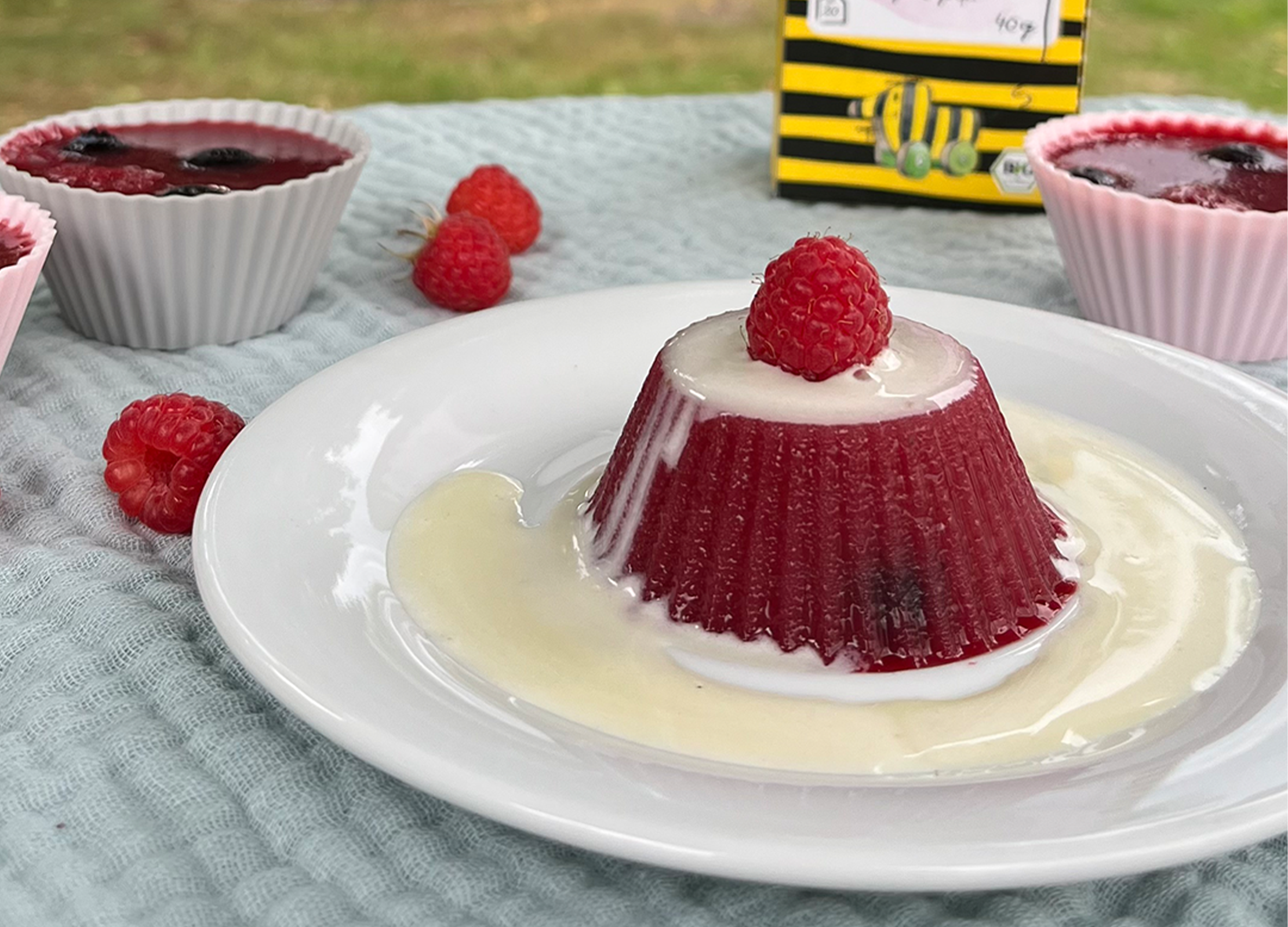 Waldbären-Wackelpudding auf einem Taller mit Vanillesoße und Himbeeren angerichtet