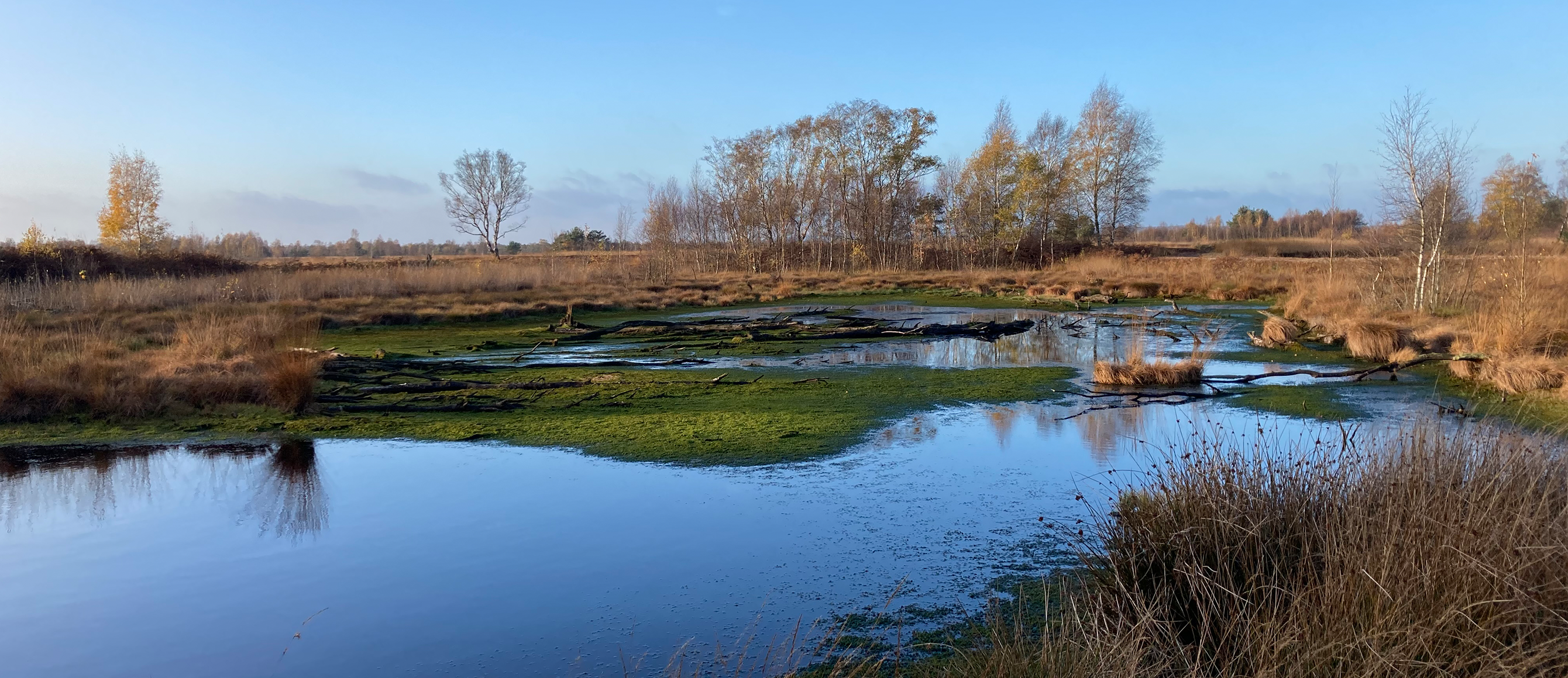 Moorlandschaft der Stadt Diepholz