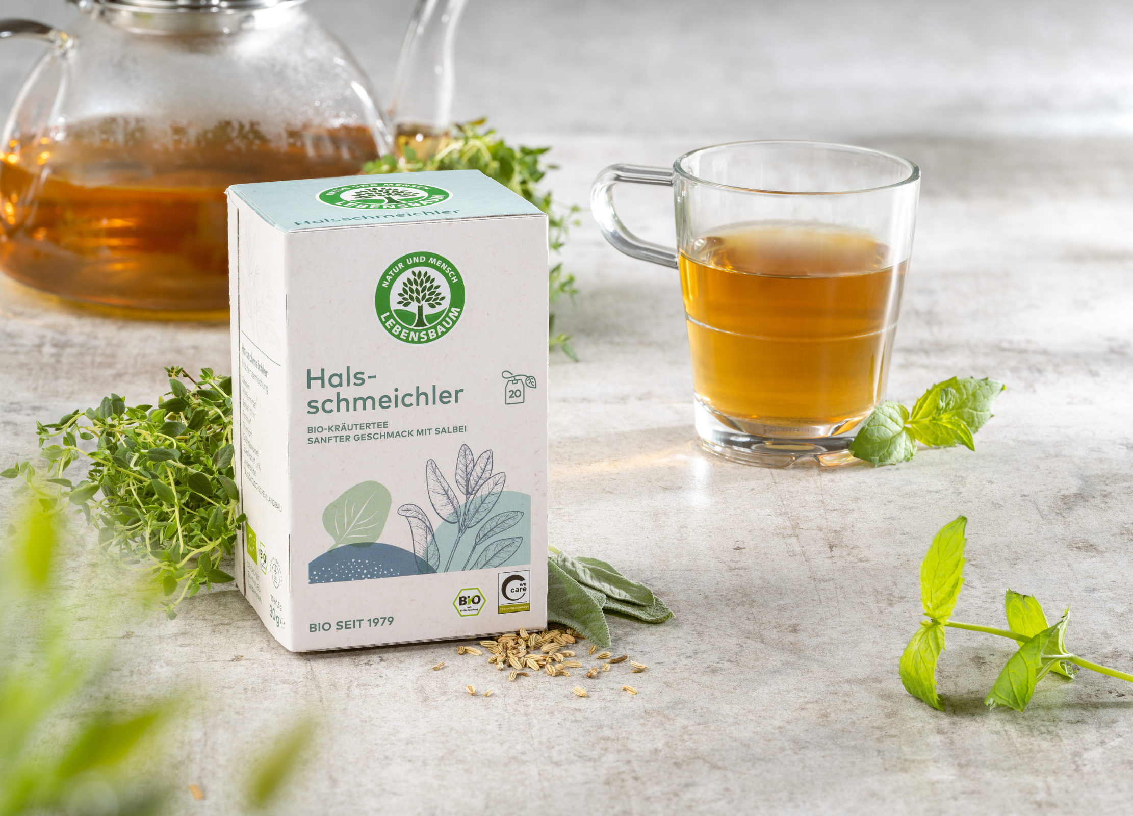 Tasse mit frisch aufgebrühtem Tee steht neben einer Packung Lebensbaum Hals-Schmeichler auf einem hellen Tisch mit frischen Kräutern