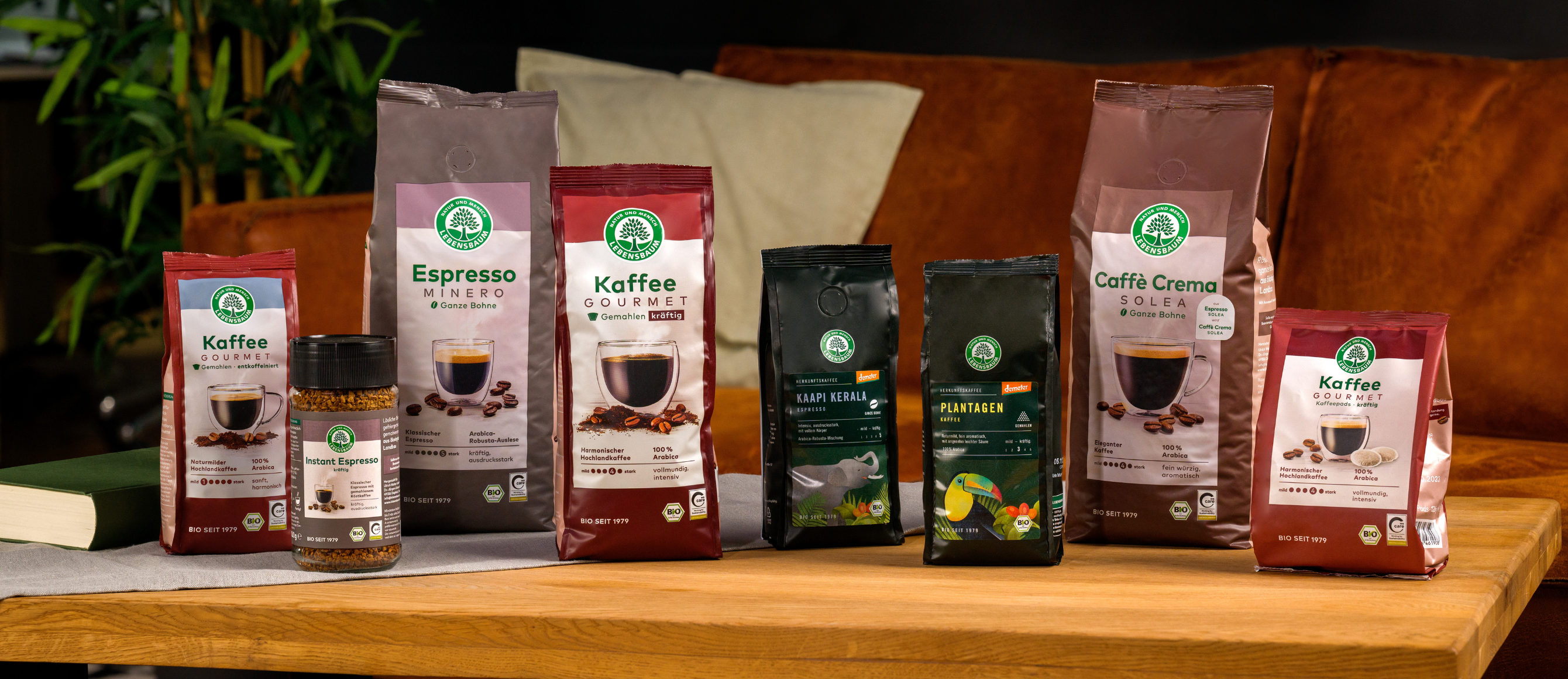 Lebensbaum Kaffees aufgestellt auf einem Holztisch