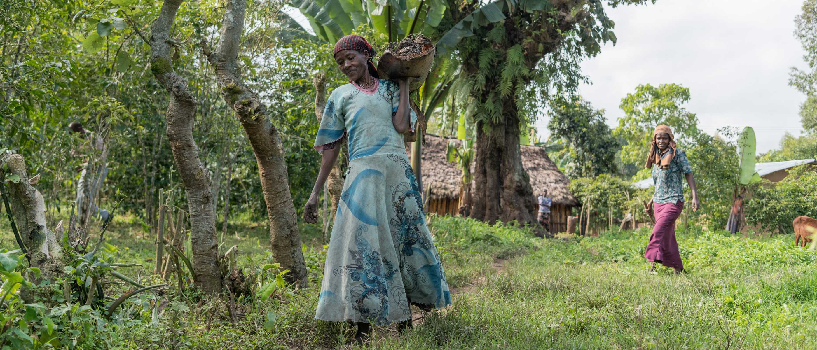 Frau trägt Ernte in einer Schale auf dem Kopf durch grüne Landschaft, weitere Personen im Hintergrund