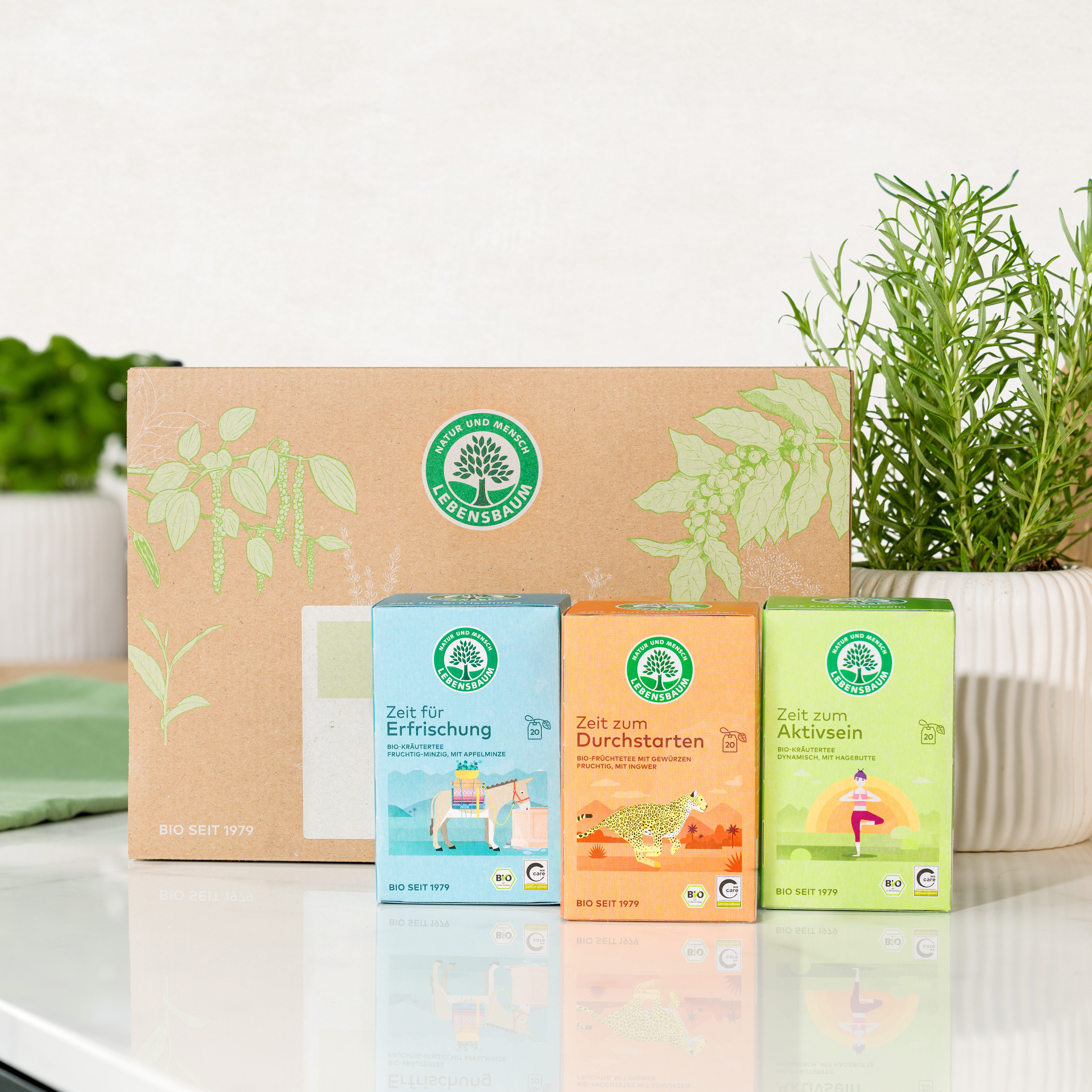 Tee-Set Frischer Schwung Bio Tee-Set Frischer Schwung mit Zeit für Erfrischung, Zeit zum Durchstarten und Zeit zum Aktivsein